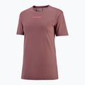 Dámske bežecké tričko Salomon Courtney Tee SS rose taupe 3