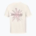 Pánske bežecké tričko Salomon Shakeout Core GFX SS Tee whisper white/pink frosting 6