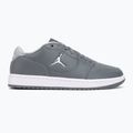 Pánske topánky Nike Jordan Access Court Low smoke grey/white/light smoke grey 2