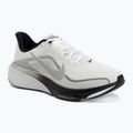 Pánske bežecké topánky Nike Pegasus 42 summit white/metallic silver-photon dust