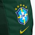Batoh Nike Academy Brazil 30 l pro green 4