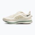 Pánske bežecké topánky Nike Pegasus Premium Pale ivory/jade horizon/black spruce 2
