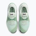 Dámske tréningové topánky Nike Metcon 10 barely green/steam/light silver/black 5