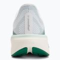 Dámske bežecké topánky Nike Pegasus 42 white/malachite/metallic silver 6