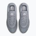 Pánske topánky Nike Air Max Fire wolf grey/wolf grey/white 14