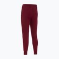 Pánske futbalové nohavice Nike Tech Fleece Poland Jogger team red 2