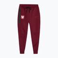 Pánske futbalové nohavice Nike Tech Fleece Poland Jogger team red 3