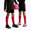 Detské futbalové šortky Nike Paris Saint-Germain Strike black/hyper royal/global red/global red