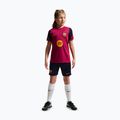 Detský futbalový dres Nike FC Barcelona Strike Dri-Fit noble red/blackened blue 3