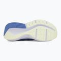 Pánske bežecké topánky Nike Downshifter 14 colt tint/white/black/black spruce 4