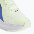 Pánske bežecké topánky Nike Downshifter 14 colt tint/white/black/black spruce 7