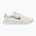 Pánske tréningové topánky Nike Flex Train phantom/white/sail/pencil point