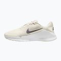 Pánske tréningové topánky Nike Flex Train phantom/white/sail/pencil point 2
