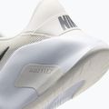 Pánske tréningové topánky Nike Flex Train phantom/white/sail/pencil point 6