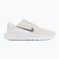 Pánske tréningové topánky Nike Flex Train phantom/white/sail/pencil point 2