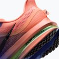 Pánske bežecké topánky Nike Pegasus Premium racer blue/atomic pink/volt tint/black 8