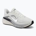 Dámske bežecké topánky Nike Pegasus 42 summit white/sail/black/metallic silver