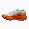 Pánske bežecké topánky Nike ACG Zegama Trail GORE-TEX light silver/safety orange/summit white 2