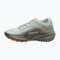 Dámske bežecké topánky Nike ACG Pegasus Trail GORE-TEX Light Silver/Light Army/Light Silver 2