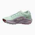 Dámske bežecké topánky Nike ACG Pegasus Trail GORE-TEX Barely Green/Silver Lilac/Light Bone 2