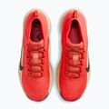 Pánske bežecké topánky Nike ACG Pegasus Trail GORE-TEX Light Crimson/Linen/Black 5