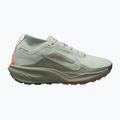 Pánske bežecké topánky Nike ACG Pegasus Trail GORE-TEX Light Silver/Light Army/Light Silver