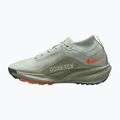 Pánske bežecké topánky Nike ACG Pegasus Trail GORE-TEX Light Silver/Light Army/Light Silver 2