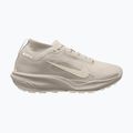 Pánske bežecké topánky Nike ACG Pegasus Trail GORE-TEX Cream Ii/Light Orewood Brown