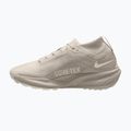Pánske bežecké topánky Nike ACG Pegasus Trail GORE-TEX Cream Ii/Light Orewood Brown 2