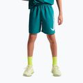 Detské šortky Nike Multi Refresh bright spruce