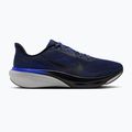 Pánske bežecké topánky Nike Pegasus 42 dark slate/grey mist/racer blue/black
