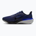 Pánske bežecké topánky Nike Pegasus 42 dark slate/grey mist/racer blue/black 2
