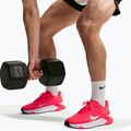 Pánske tréningové topánky Nike Hybrid RN laser crimson/metallic silver 7