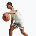 Pánske basketbalové šortky Nike Giannis volt/off white/off white 6