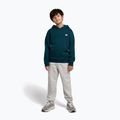 Detská mikina New Balance Brush Back Small Logo Hoodie medusa green 2