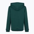 Detská mikina New Balance Brush Back Small Logo Hoodie medusa green 7