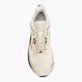 Pánske bežecké topánky New Balance Dynasoft Nitrel V6 angora/black/basil oil 5