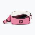Ľadvinka Columbia Trail Traveler Hip sea salt/rosette/moonvista 3