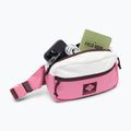 Ľadvinka Columbia Trail Traveler Hip sea salt/rosette/moonvista 4
