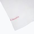 Dámske tričko Columbia Ruby Springs Graphic Fitted white/brandrise 4