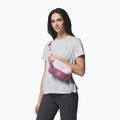 Ľadvinka Columbia Trail Traveler Hip 2 l mineral pink/antique mauve 7
