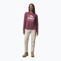 Dámske tričko longsleeve Columbia Parsons Point LS Graphic Tee antique mauve heather/all terrain 2