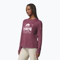 Dámske tričko longsleeve Columbia Parsons Point LS Graphic Tee antique mauve heather/all terrain 4