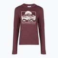 Dámske tričko longsleeve Columbia Parsons Point LS Graphic Tee antique mauve heather/all terrain 6