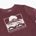 Dámske tričko longsleeve Columbia Parsons Point LS Graphic Tee antique mauve heather/all terrain 8