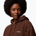 Dámska fleecová mikina Columbia Timber Meadow MTR Fleece Hoodie tobacco 6