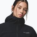 Dámska softshellová bunda Columbia Tennen Mountain Hooded Softshell black 6