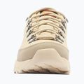 Pánske turistické topánky Columbia Newton Alpine Low fossil/sedona sage 3