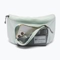Ľadvinka Columbia Zigzag II Hip Pack 1 l sedona sage/tea light 4