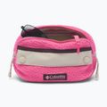 Ľadvinka Columbia Helvetia II Hip Pack 1 l nico/dark stone 3